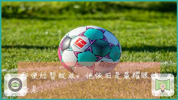 即便短暂绽放，他依旧是最耀眼的花朵