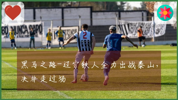 黑马之路-辽宁铁人全力出战泰山，决非走过场