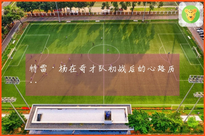 特雷·杨在奇才队初战后的心路历程