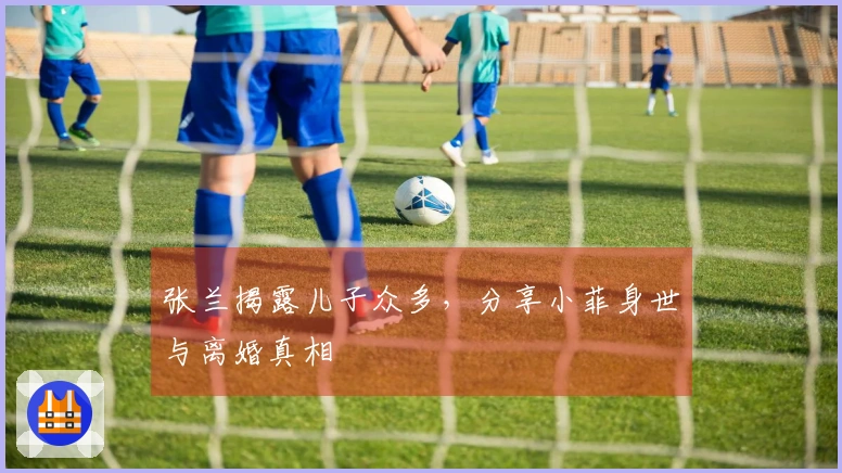 张兰揭露儿子众多，分享小菲身世与离婚真相